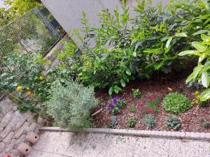 Apartments and Rooms Stone House