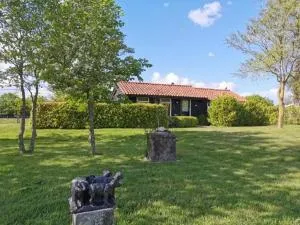 ''Op Stok" - Koedijk