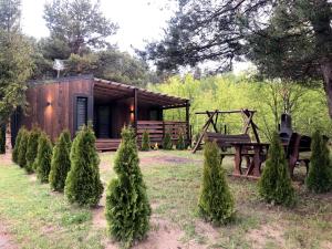 Sarzynówka pod Świerkiem