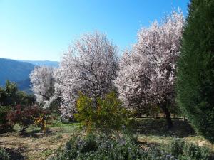 Ktima Noosfera Wellness & Retreat Center Orini-Korinthia Greece