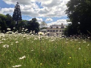 Villas Domaine et Chateau de Sereville : photos des chambres