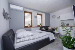Apartamenty AP 12 - 3hvězdičkové hotely ve městě Čenstochová
