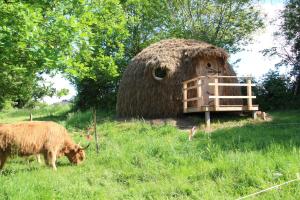 B&B / Chambres d'hotes La Libaudiere : Hébergement Haystack