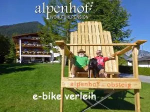 Alpenhof Wohlfühlpension - 锡尔茨