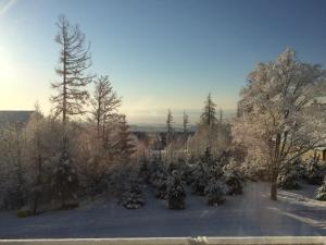 Apartman Bery, Vysoké Tatry