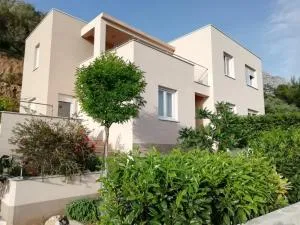 Apartment Dandelion - Carevići