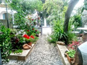 Euripides House Lesvos Greece