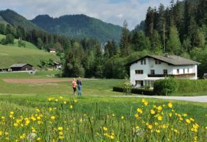 Appartement Vasilico