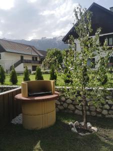 APARTMENT ALPIN BOVEC