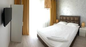 Apartament Central Radu