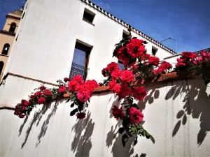 Arco Bianco - Monolocali - تورتولي