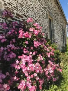 La Corbonniere - Juvigny-sous-Andaine