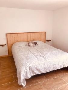 Appartements Le Nid Montagnard : photos des chambres
