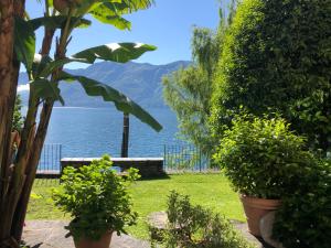 Studio with Lake View room in Apartments Posta al Lago