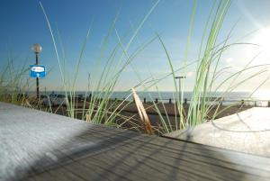 Luxury Beach Studio Zandvoort