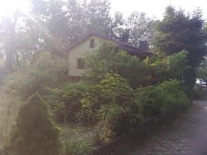 Agroturystyka Czerwone Maki 2 Łazienki 5 Pokoi Kuchnia - NoclegiGrodziskPL 792-535-535