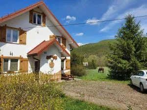 Konie2 Pokoje Gościnne - Berezki