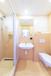 Standard Studio room in Penziony Beneš