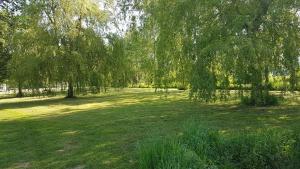 Maisons de vacances Gite du vieux saule : photos des chambres