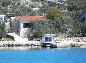 House Dino - Island Gangaro