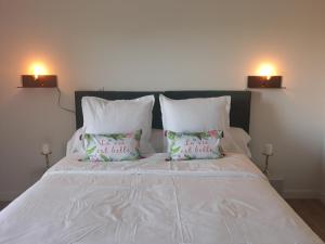 DOMAINE DE GUILLEMIN