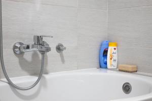 Apartment Nikola Tesla