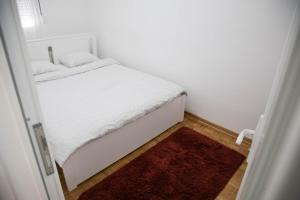 Apartment Nikola Tesla