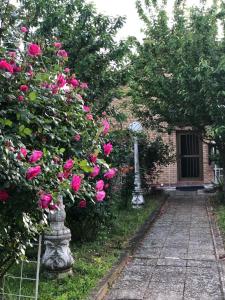 Villa Elita - Bela Crkva