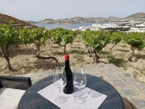 WONDERFUL SEA VIEW - Parasporos