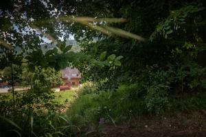 Popasul Caprioarelor