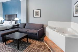 1 King Bed, 1-Room Suite, Jetted Tub, Non-Smoking room in La Quinta by Wyndham Kerrville