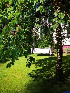 Family Home Garden & Sauna