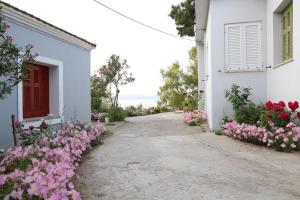 Sea Side villa Alexandra Achaia Greece