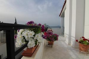 Sea Side villa Alexandra Achaia Greece