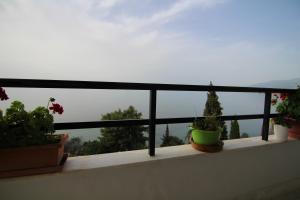 Sea Side villa Alexandra Achaia Greece