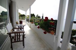 Sea Side villa Alexandra Achaia Greece