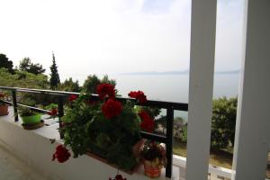 Sea Side villa Alexandra Achaia Greece