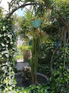 Appartements Villa Sainte Marie : photos des chambres