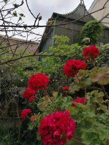 Appartements Villa Sainte Marie : photos des chambres