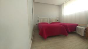 Aster Apartamento