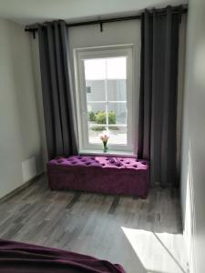 Apartamentai Jūratės gatvėje