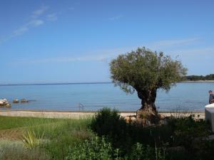 Stella Maris Appartement