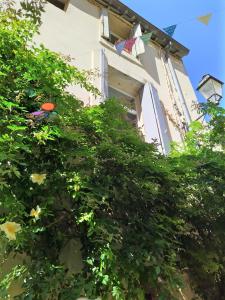 Appartements le balcon de Saint Roch : photos des chambres