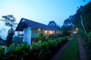 After the Rains - Rainforest Lodge