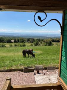 B&B / Chambres d'hotes Domaine de Campras B&B : photos des chambres