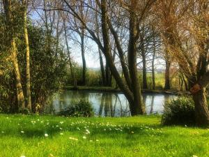 ChambresAPart photo 18