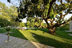 Hotels Les Demeures de Valette : photos des chambres