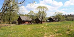 Chaty Rysia i Misia - całoroczne domy na wynajem