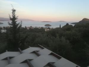 Stone House in olive grove Argolida Greece