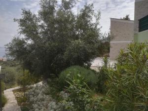 Stone House in olive grove Argolida Greece